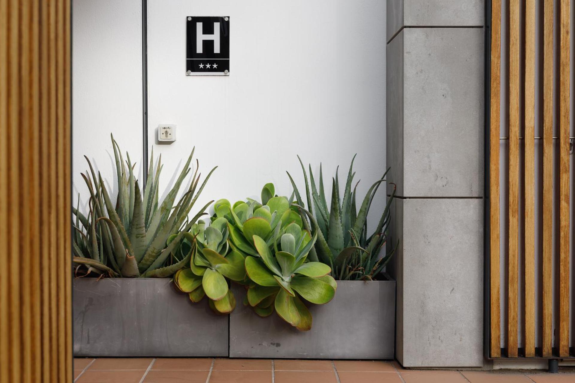 קאלייה דה פאלאפרוג'ל Hotel Hcp מראה חיצוני תמונה
